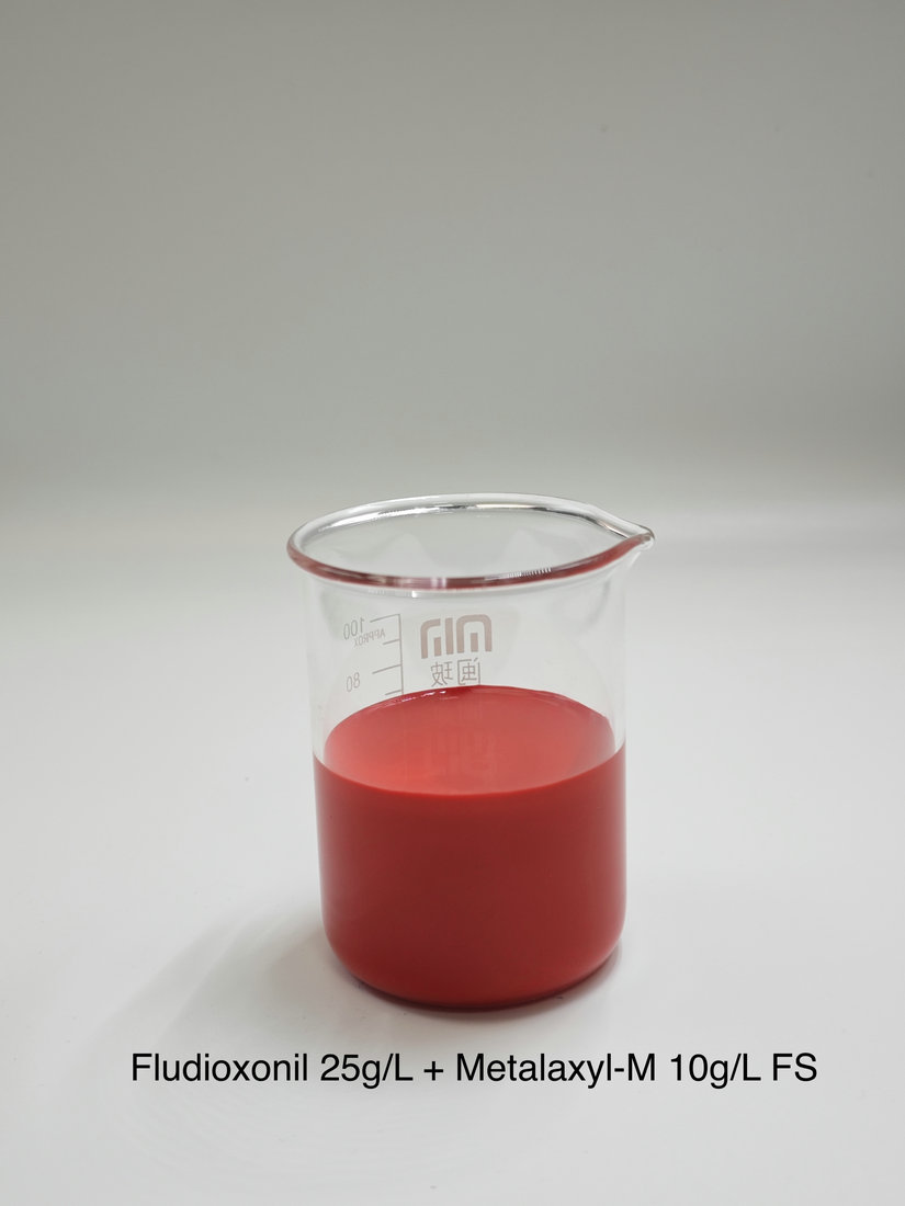 Fludioxonil 25g/L + Metalaxyl-M 10g/L FS
